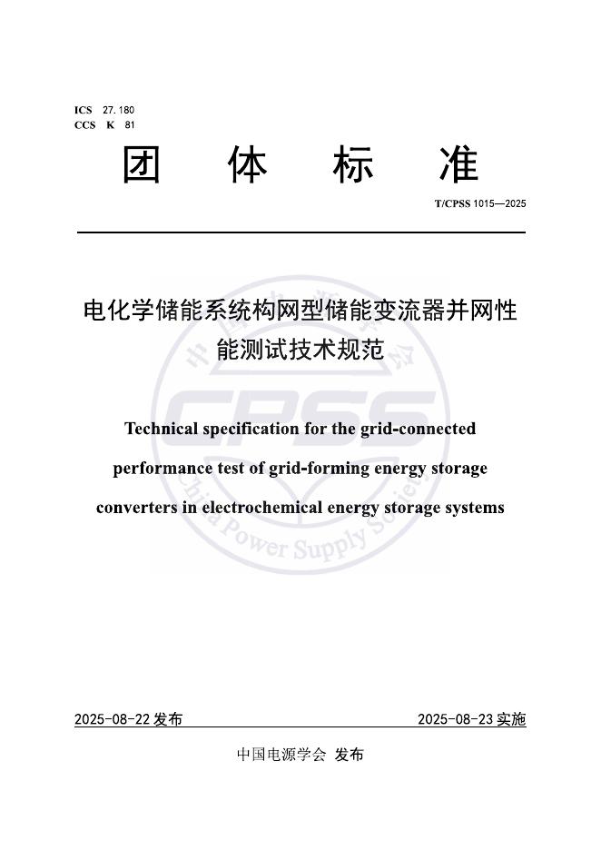 T/CPSS 1015-2025 标准预览