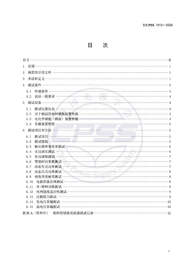 T/CPSS 1015-2025 标准预览