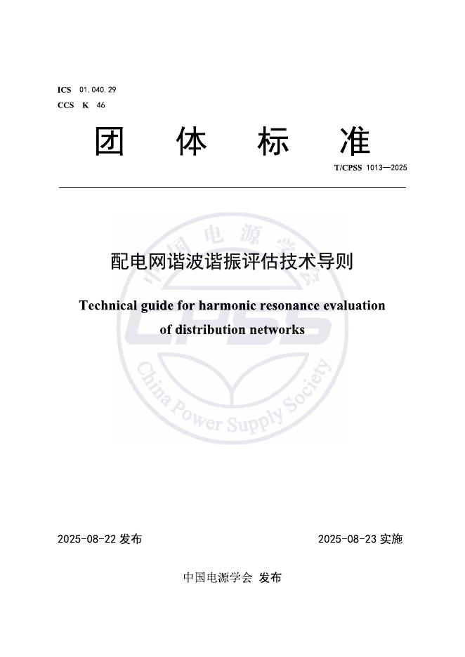 T/CPSS 1013-2025 标准预览