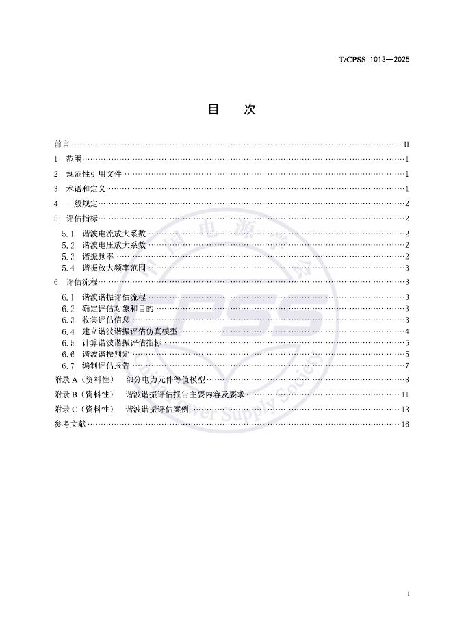 T/CPSS 1013-2025 标准预览