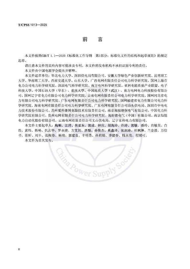 T/CPSS 1013-2025 标准预览