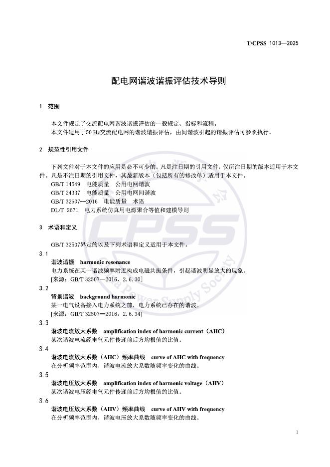 T/CPSS 1013-2025 标准预览