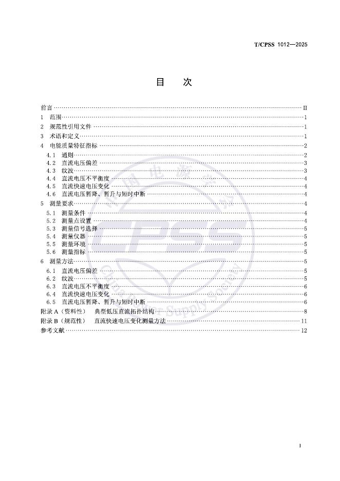 T/CPSS 1012-2025 标准预览
