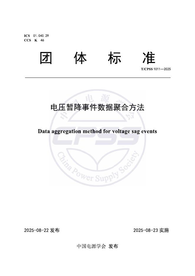 T/CPSS 1011-2025 标准预览