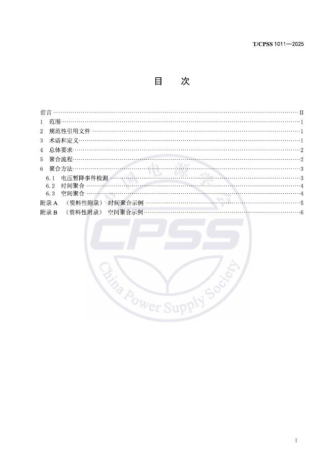 T/CPSS 1011-2025 标准预览