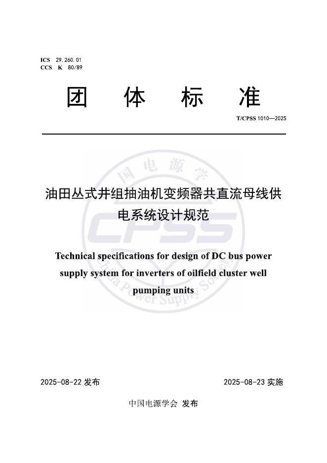 T/CPSS 1010-2025 标准预览