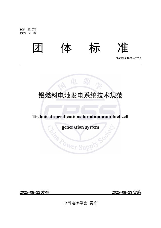 T/CPSS 1009-2025 标准预览