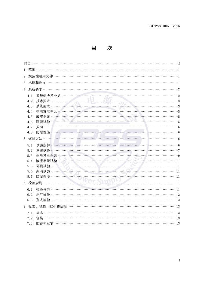 T/CPSS 1009-2025 标准预览