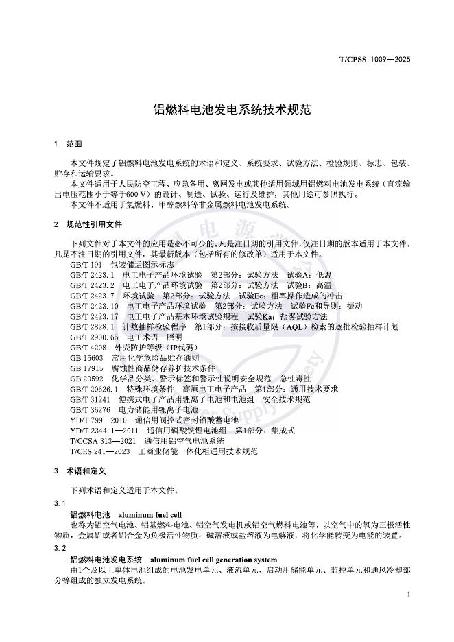 T/CPSS 1009-2025 标准预览