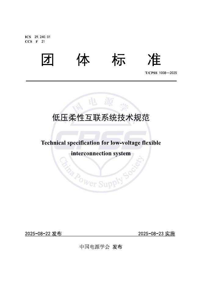 T/CPSS 1008-2025 标准预览