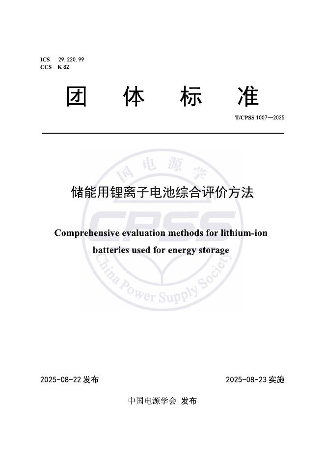 T/CPSS 1007-2025 标准预览
