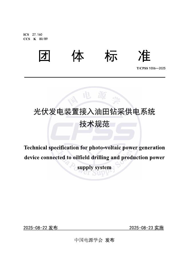 T/CPSS 1006-2025 标准预览