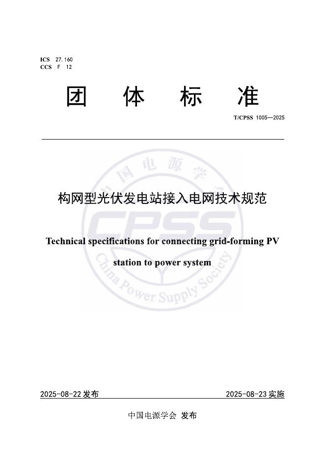 T/CPSS 1005-2025 标准预览