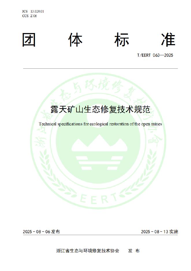 T/EERT 063-2025 标准预览