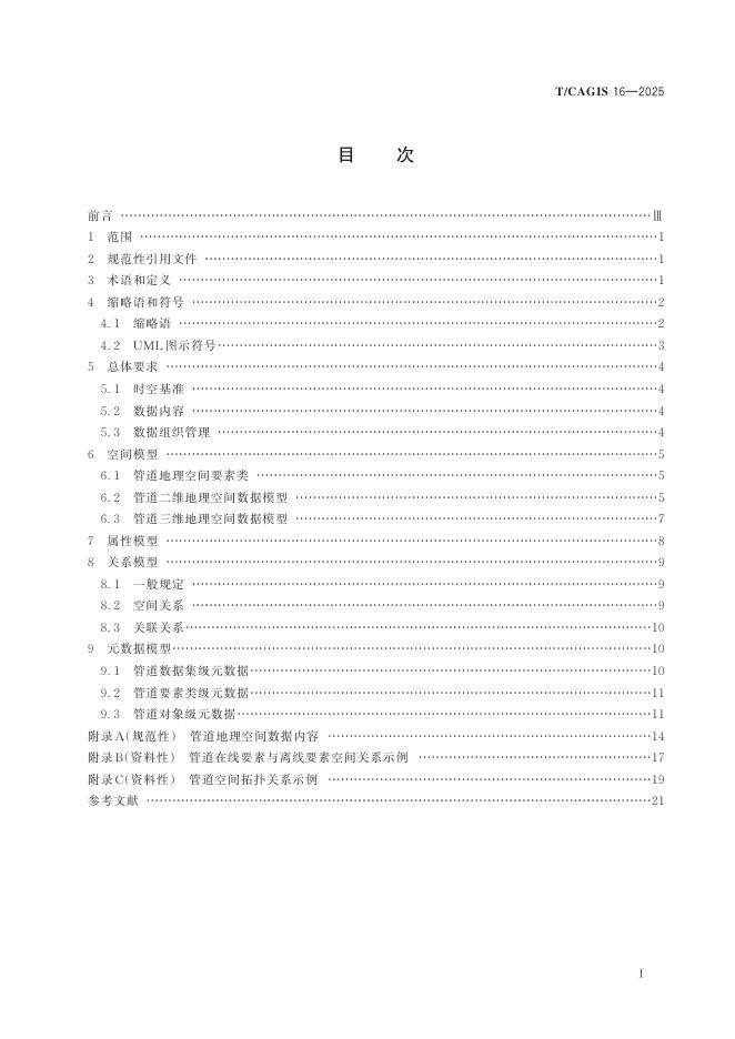 T/CAGIS 16-2025 标准预览