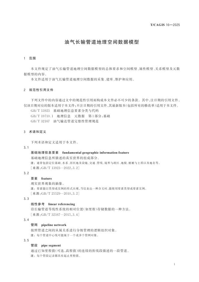 T/CAGIS 16-2025 标准预览