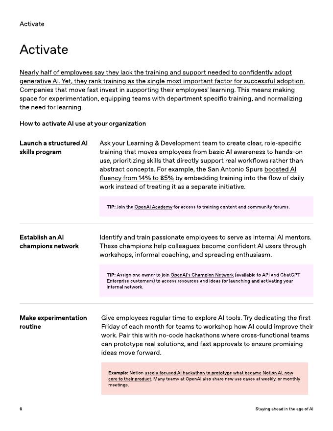 OpenAI：2025年人工智能（AI）时代保持领先：领导者指南报告（英文版）_第6页