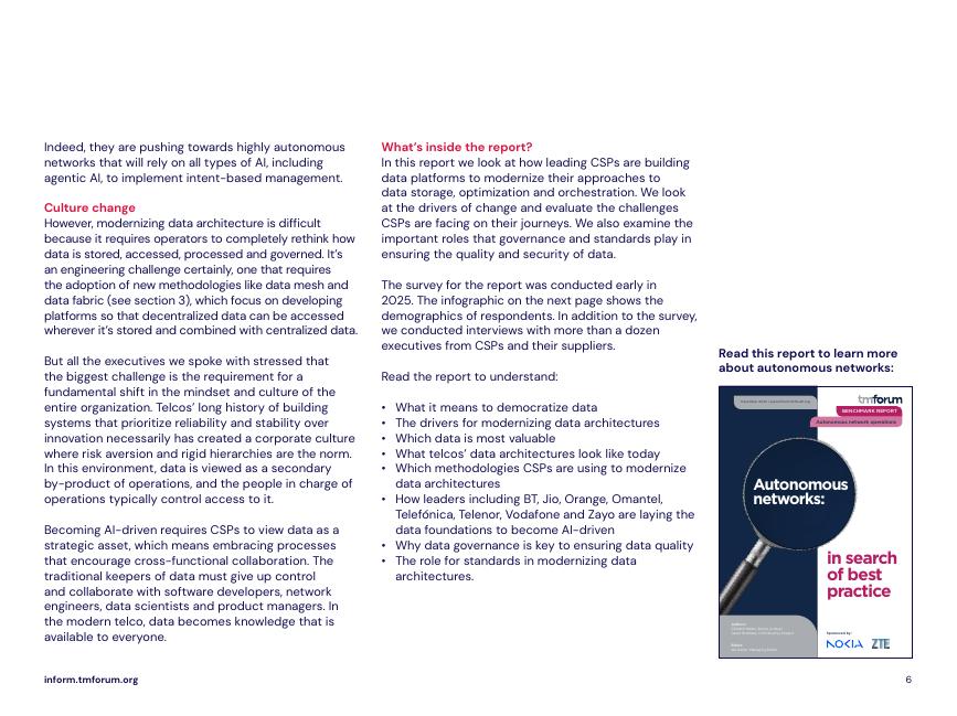 电信管理论坛（TMF）：2025年现代数据架构赋能人工智能（AI）潜力释放研究报告（英文版）_第6页