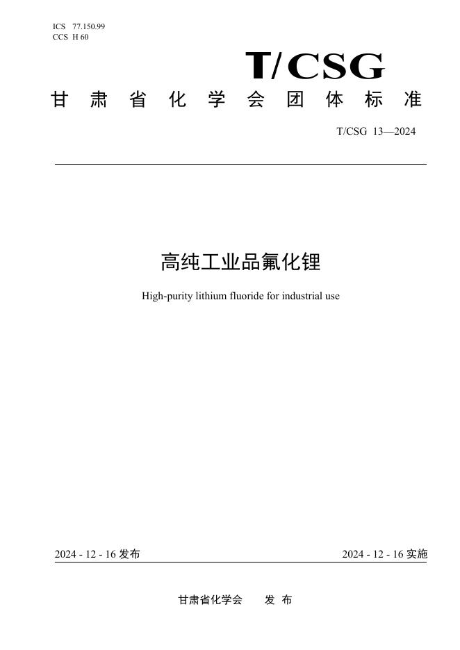 T/CSG 13-2024 标准预览
