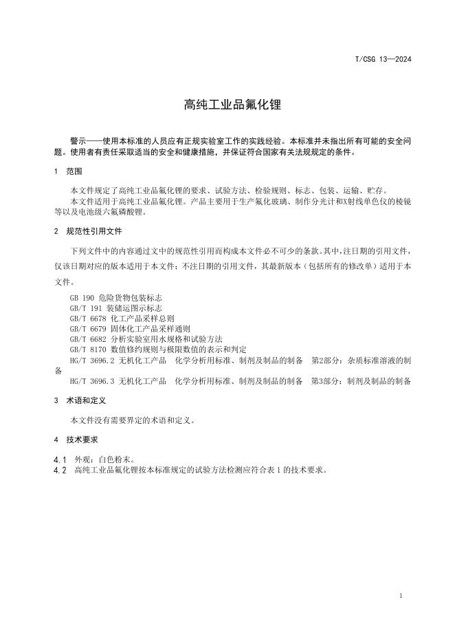 T/CSG 13-2024 标准预览
