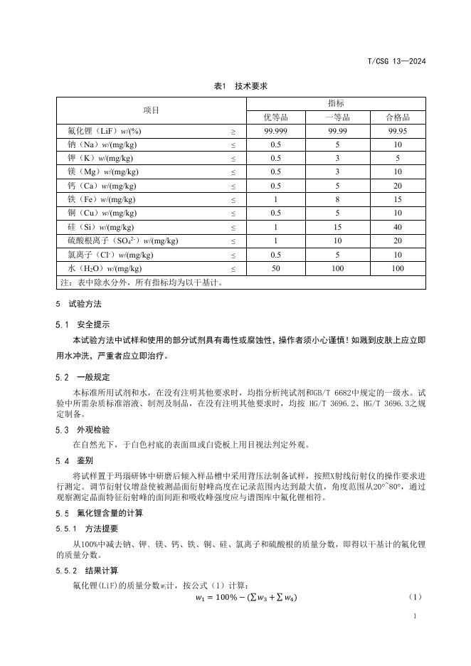 T/CSG 13-2024 标准预览