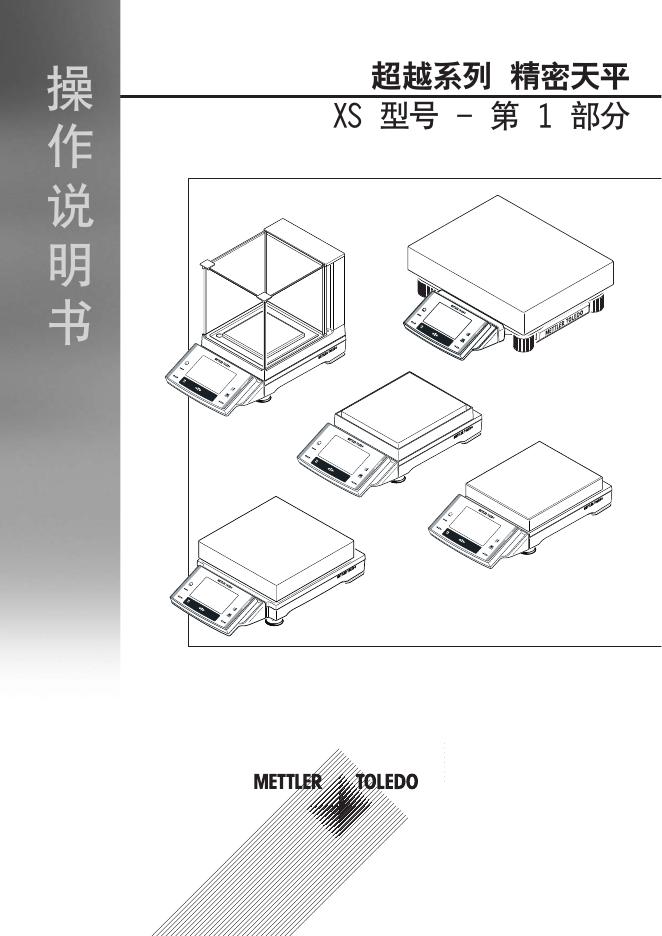 METTLER TOLEDO XS型号超越系列精密天平 操作说明书