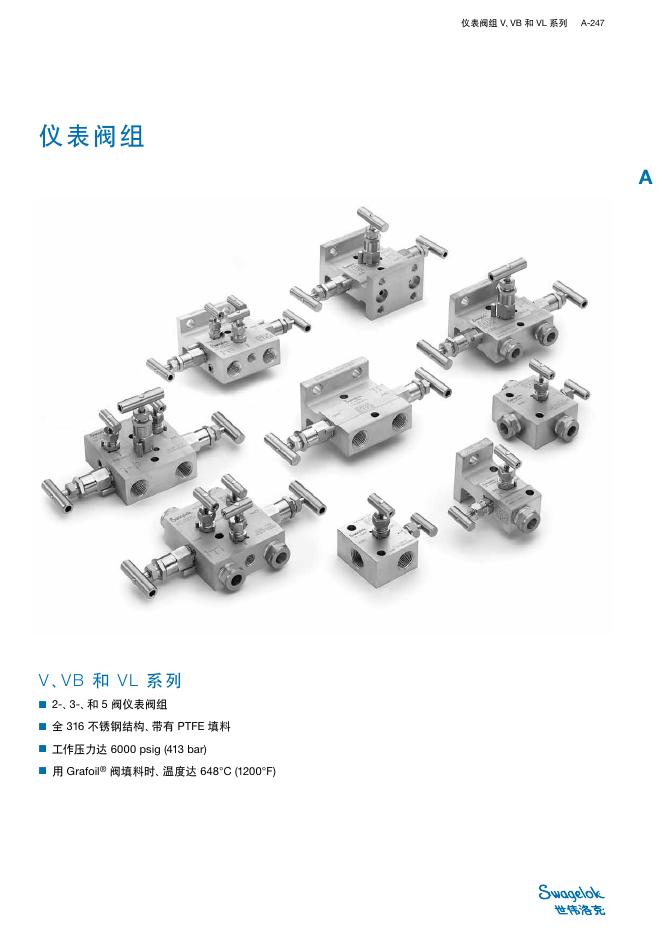 V、V B 和 V L 系列 仪表阀组 说明书