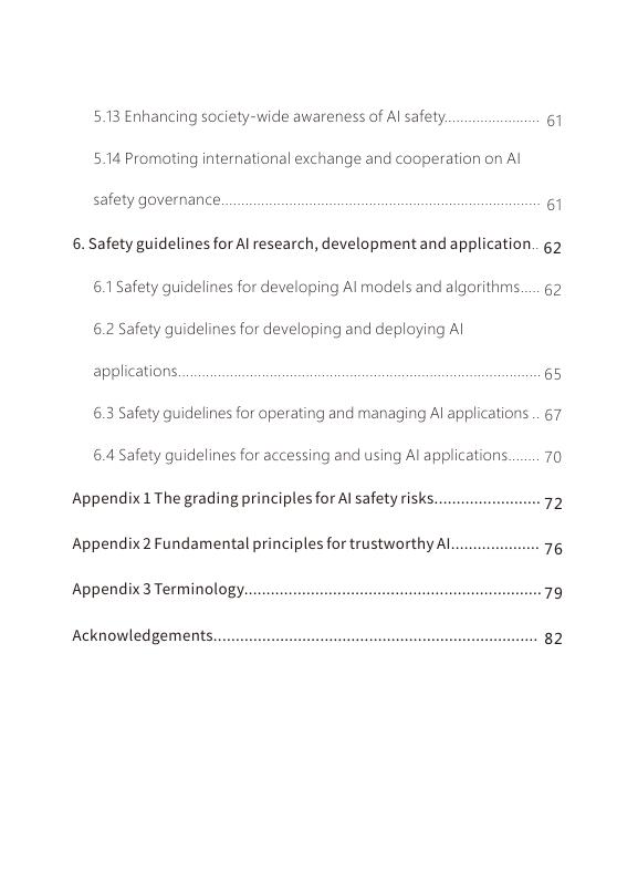全国网络安全标准化技术委员会：2025年人工智能安全治理框架2.0版_第8页