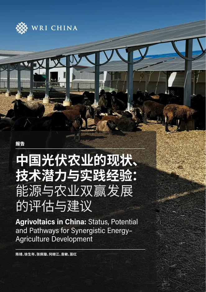 世界资源研究所：2025年中国光伏农业的现状、技术潜力与实践经验：能源与农业双赢发展的评估与建议报告海报