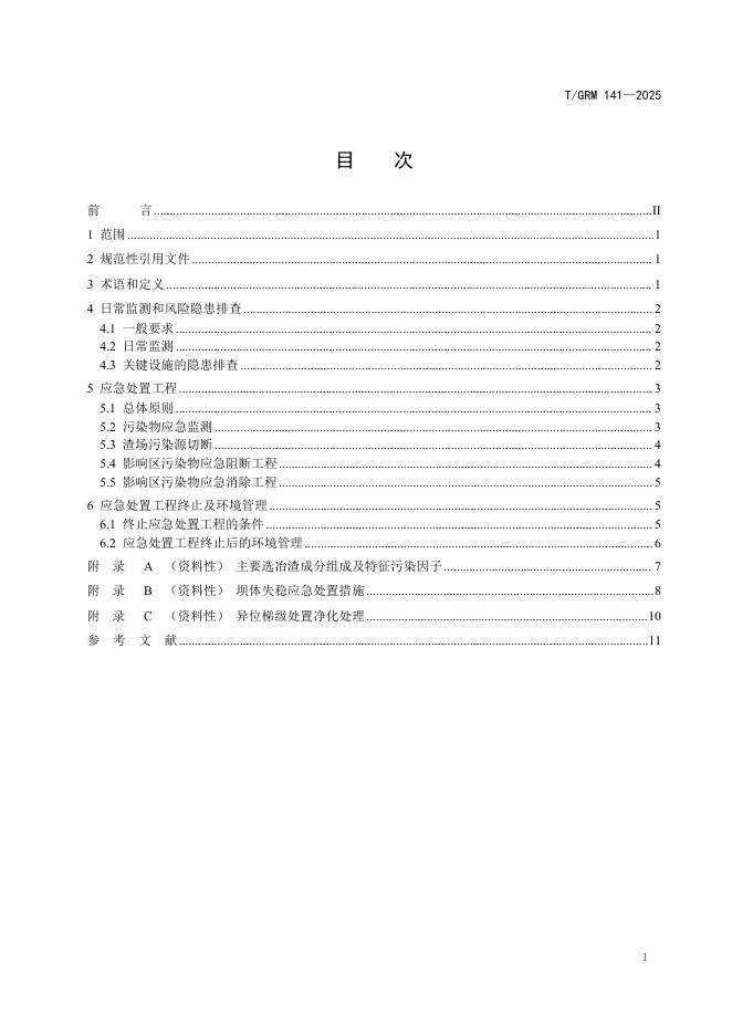 T/GRM 141-2025 标准预览