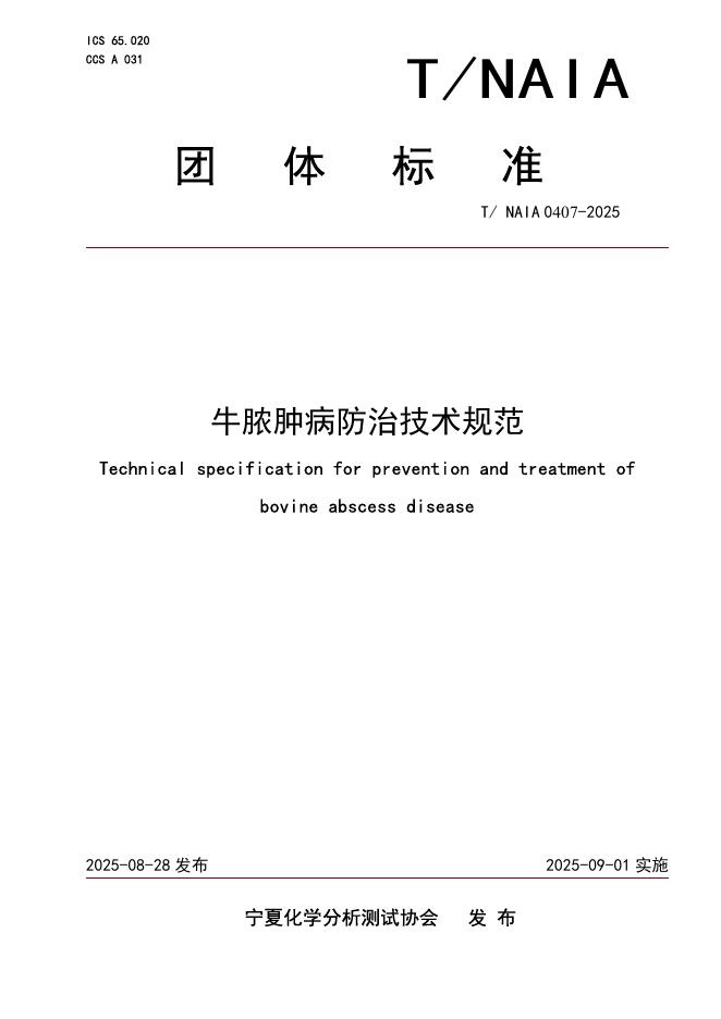 T/NAIA 0407-2025 标准预览