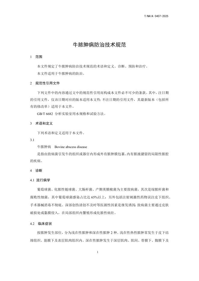 T/NAIA 0407-2025 标准预览