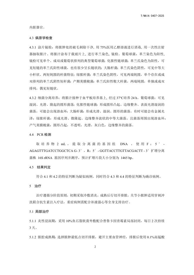 T/NAIA 0407-2025 标准预览