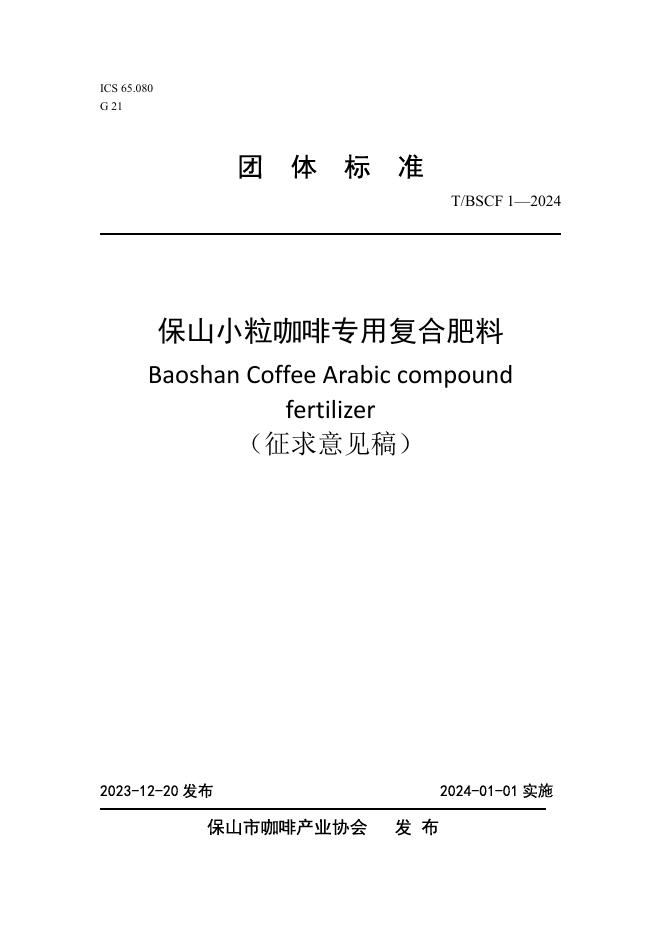 T/BSCIA 1-2024 标准预览