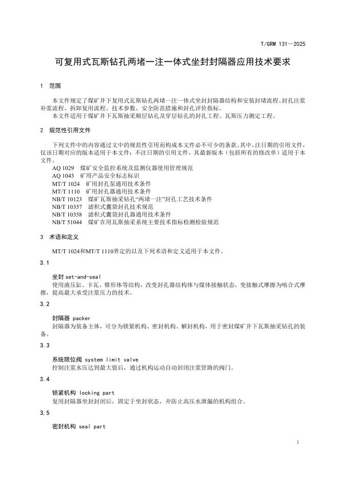 T/GRM 131-2025 标准预览