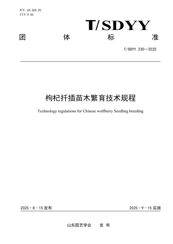 T/SDYY 230-2025 标准预览