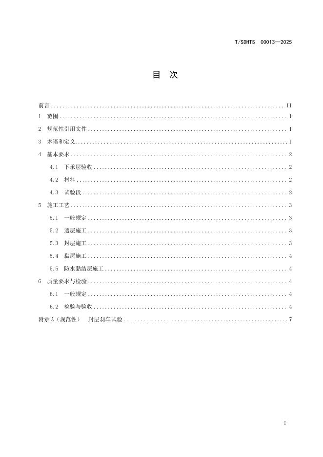 T/SDHTS 00013-2025 标准预览