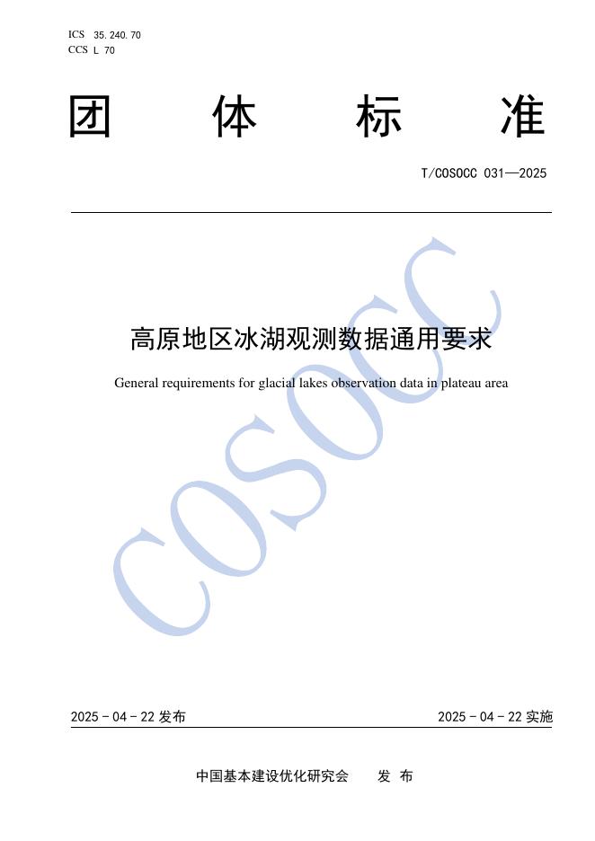 T/COSOCC 031-2025 标准预览