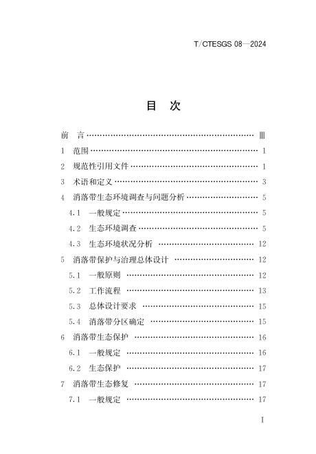 T/CTESGS 08-2024 标准预览
