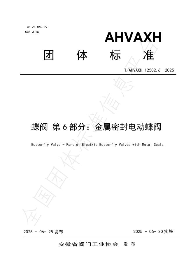 T/AHVAXH 12502.6-2025 标准预览