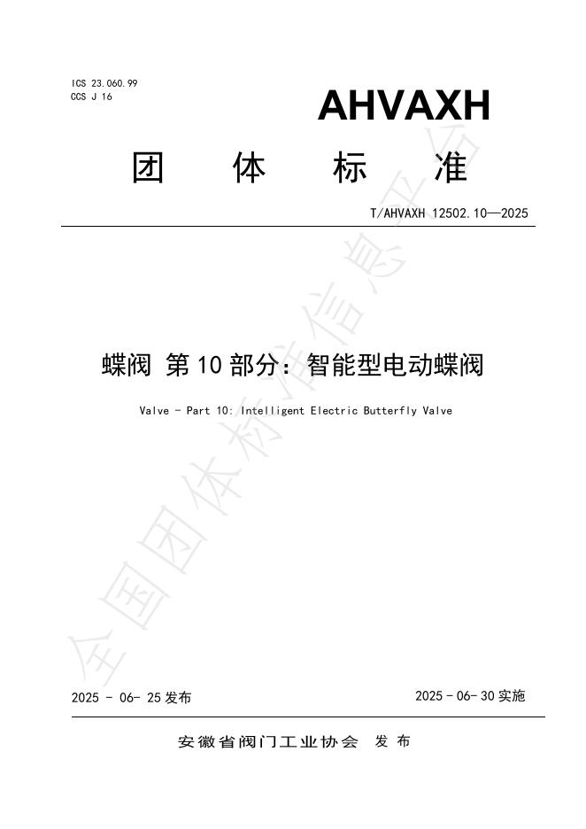 T/AHVAXH 12502.10-2025 标准预览
