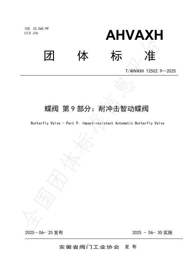 T/AHVAXH 12502.9-2025 标准预览