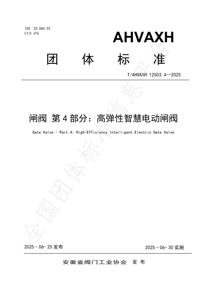 T/AHVAXH 12503.4-2025 标准预览