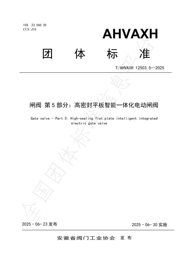 T/AHVAXH 12503.5-2025 标准预览