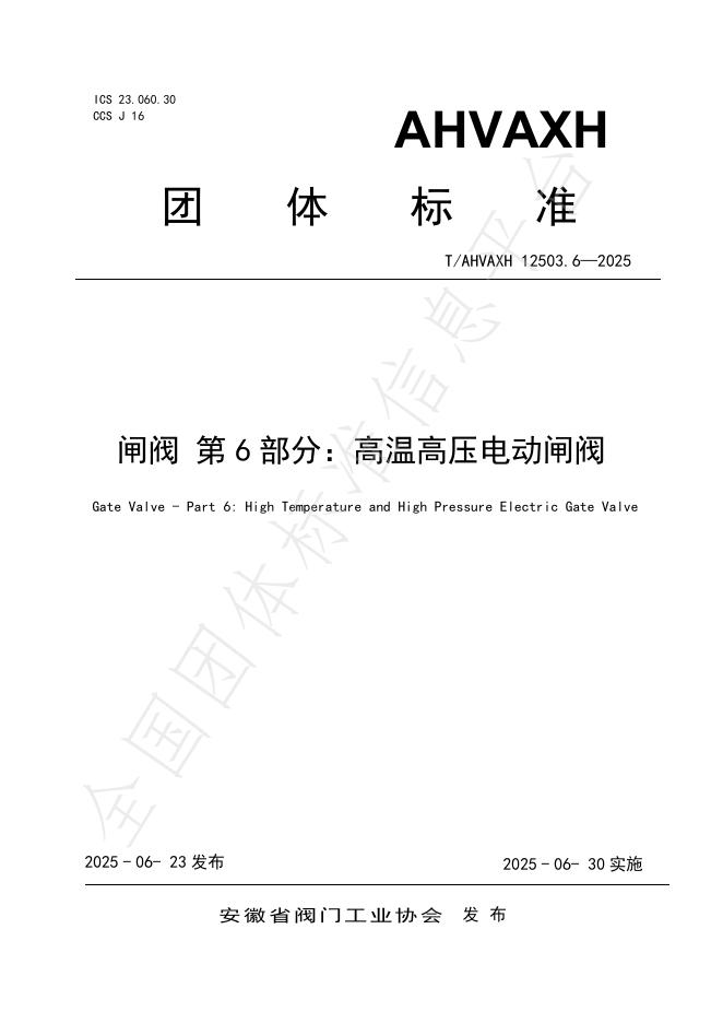 T/AHVAXH 12503.6-2025 标准预览