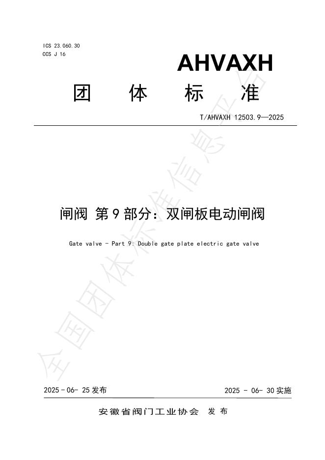 T/AHVAXH 12503.9-2025 标准预览