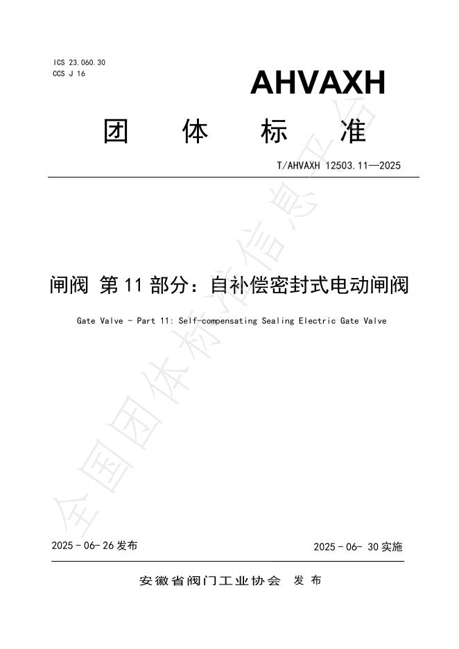 T/AHVAXH 12503.11-2025 标准预览