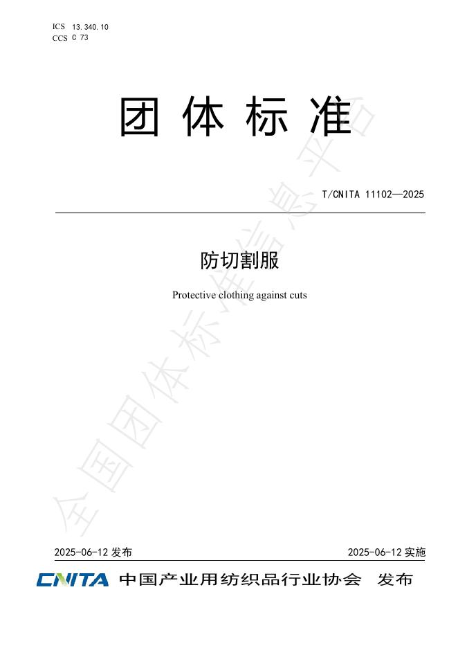 T/CNITA 11102-2025 标准预览