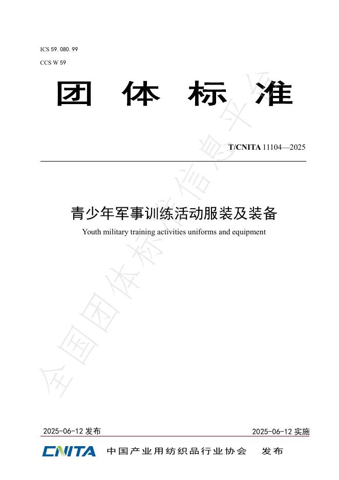 T/CNITA 11104-2025 标准预览