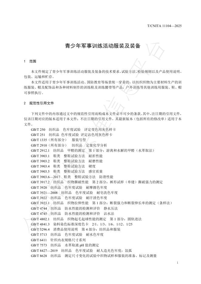 T/CNITA 11104-2025 标准预览
